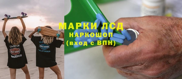 spice Верея