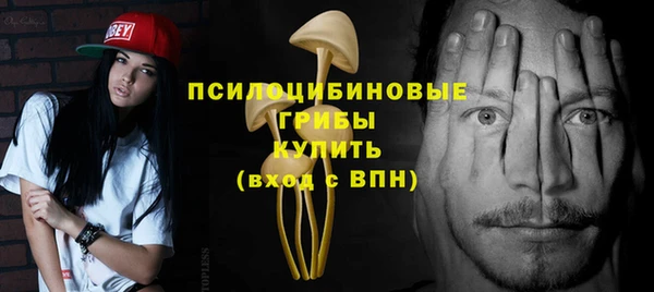 СК Волосово