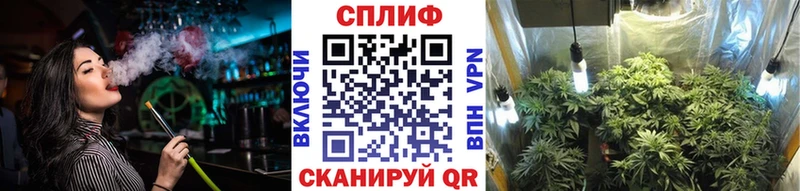 Каннабис гибрид  Пучеж 